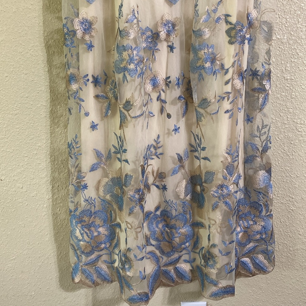 NWT Adrianna Papell Long Illusion Embellished Mesh Gown Size 4 - Picture 5 of 15